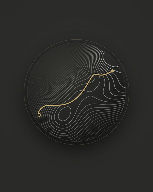 THE MONUMENT, topographic relief disc with a raised brass route line